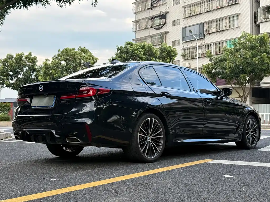 BMW 5 Series 2019