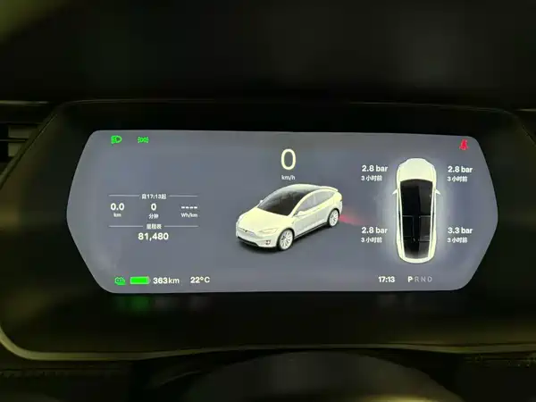 Tesla Model X 2019