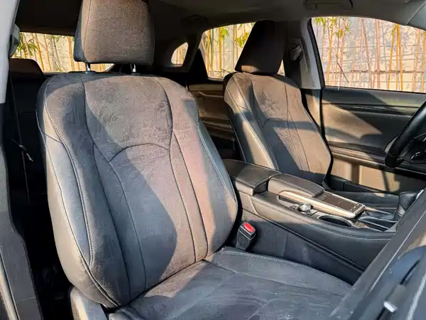 Lexus RX 2020