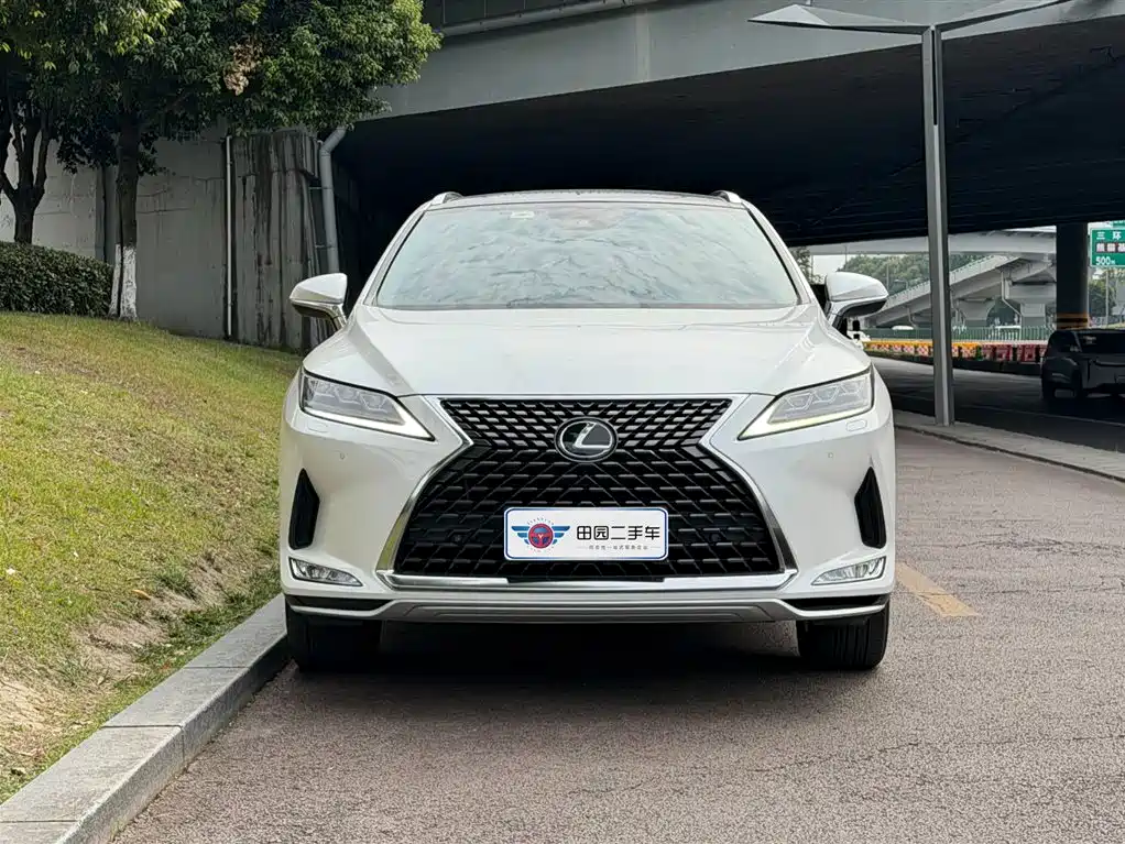 Lexus RX 2020 — фото 2