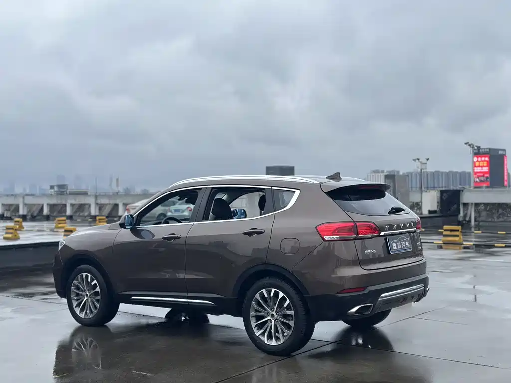 Haval H6 2017 — фото 12