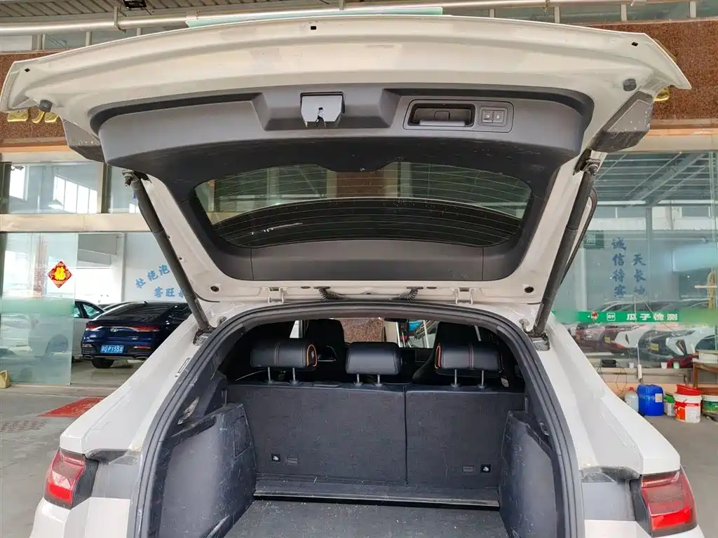 BYD PLUS New Energy 2024 — фото 16