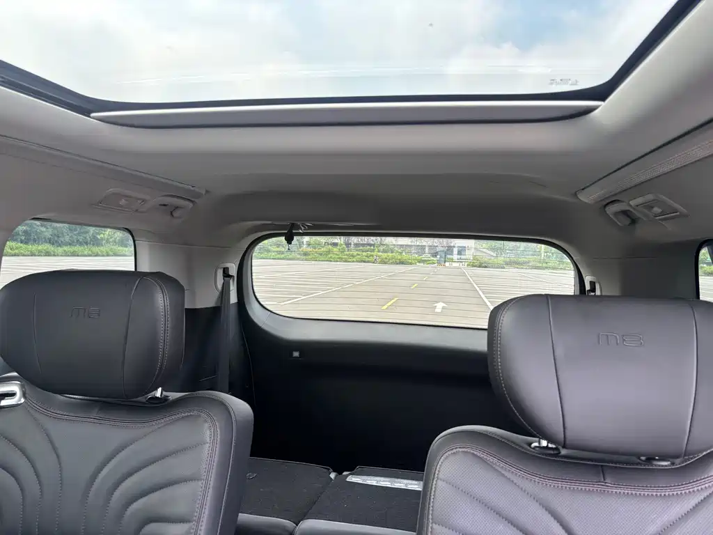 GAC Motor Trumpchi M8 2023 — фото 14
