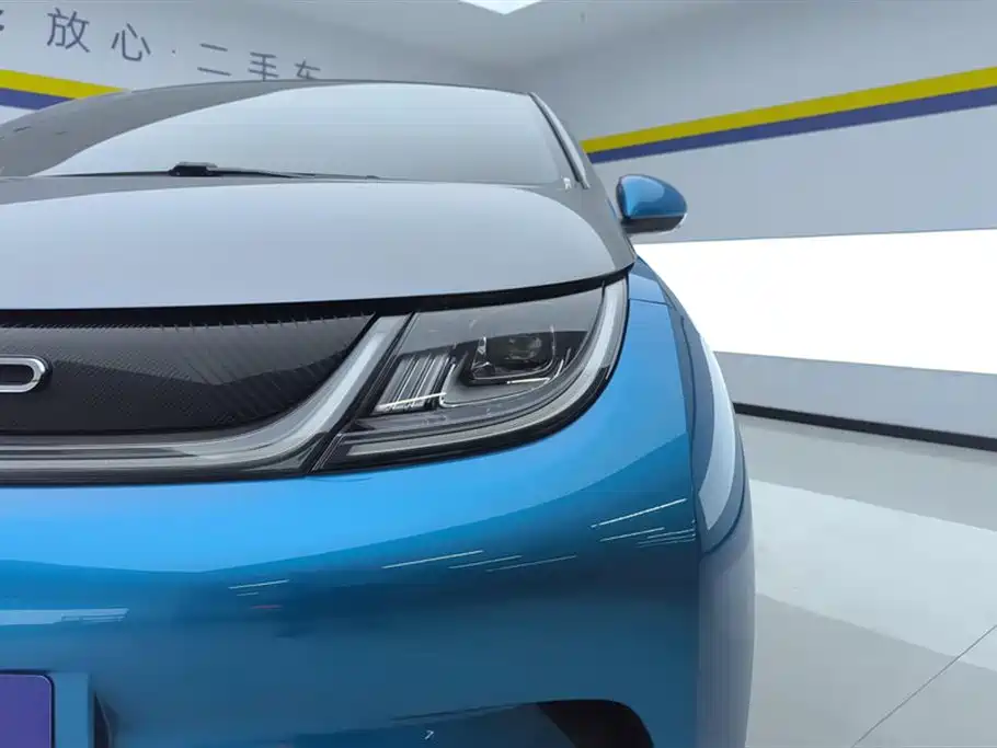 BYD Dolphin 2022