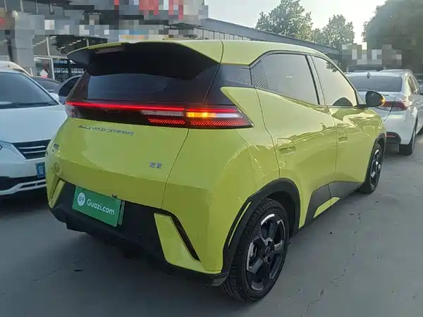 BYD Seagull 2024