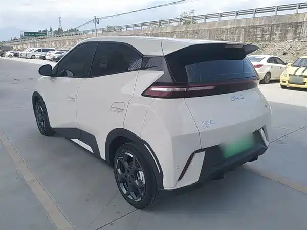 BYD Seagull 2025