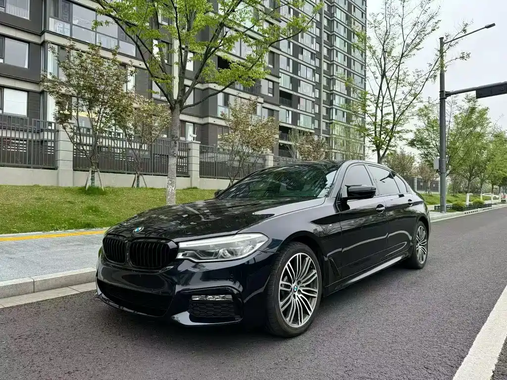 BMW 5 Series 2018 — фото 1