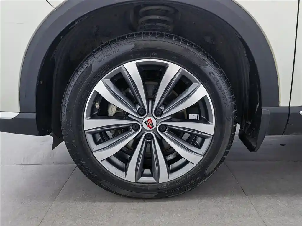Roewe RX5 MAX 2020 — фото 17