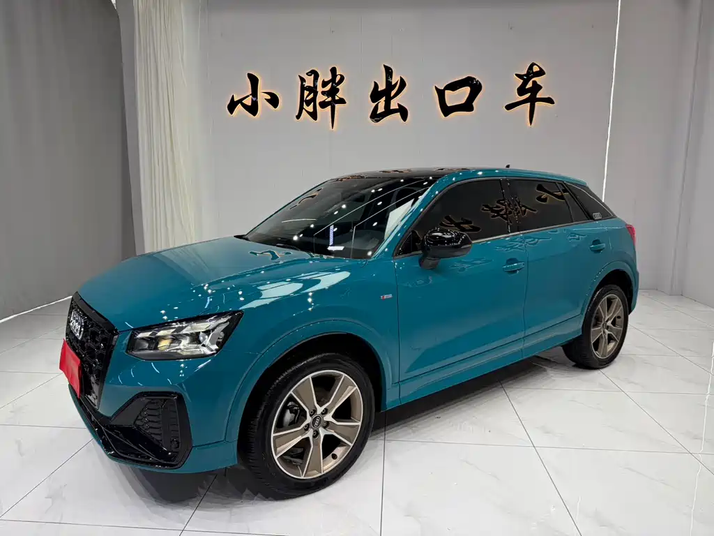Audi Q2L