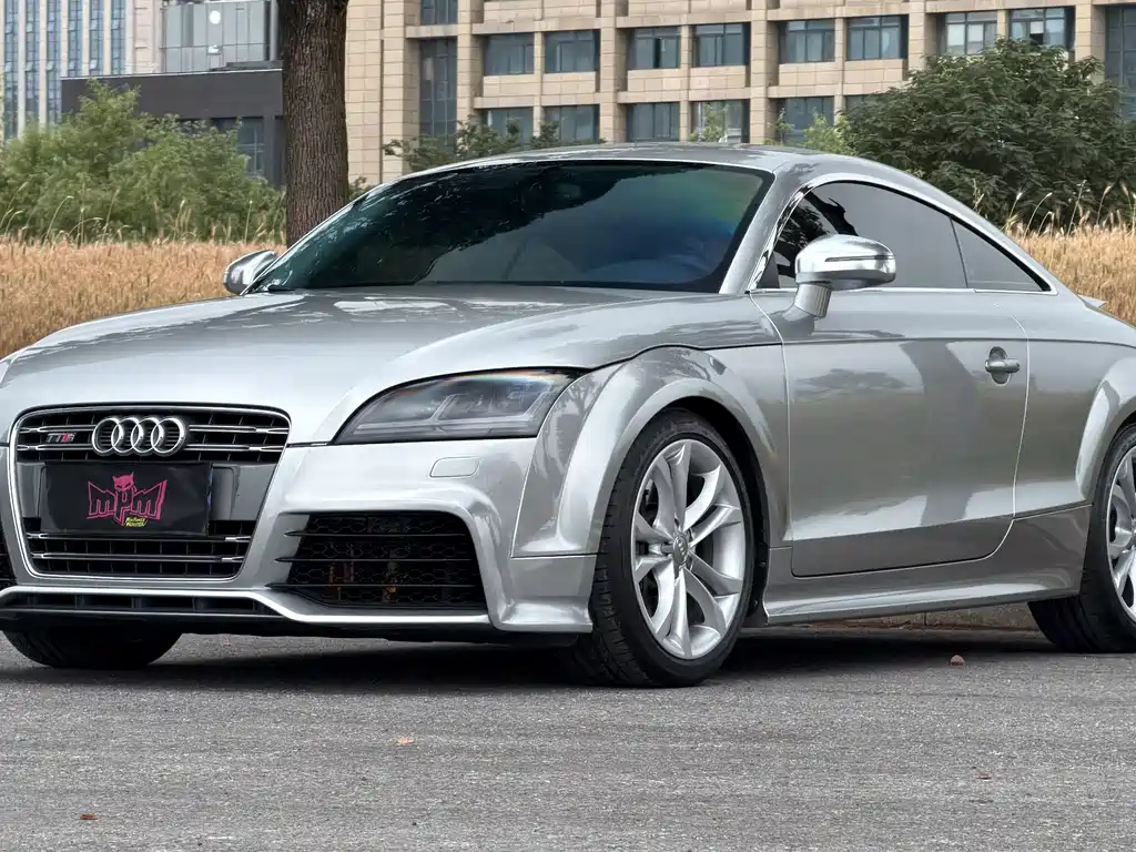 Audi TTS 2015