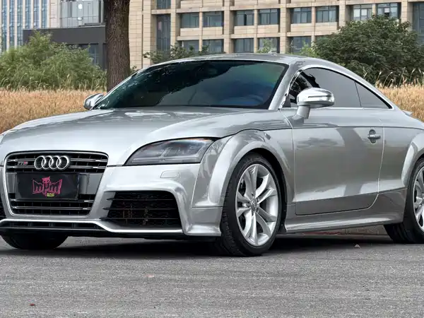 Audi TTS 2013
