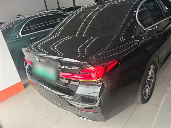 BMW 5 Series New Energy 2021