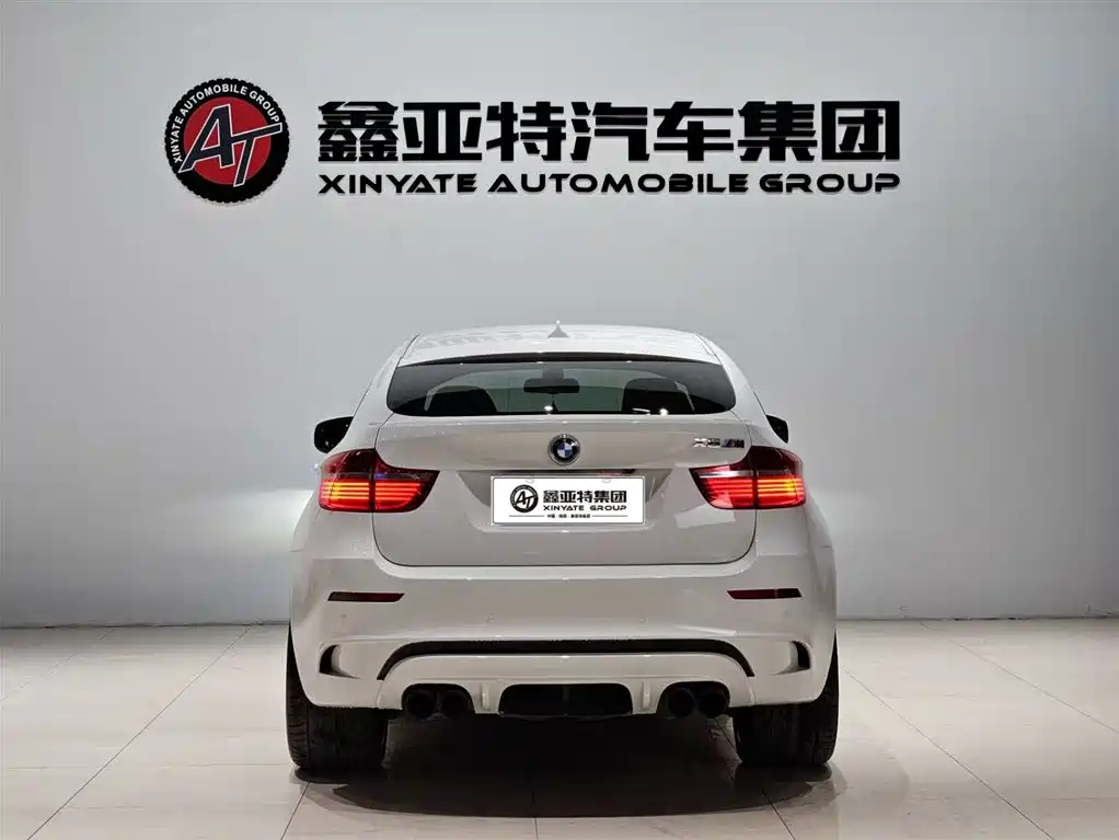 BMW X6 M 2010 — фото 6
