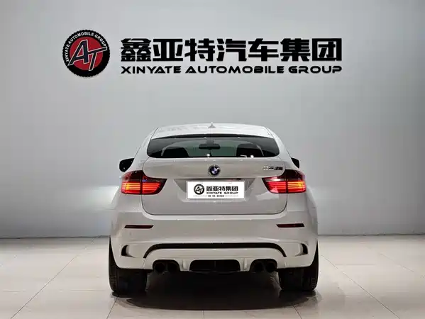 BMW X6 M 2010