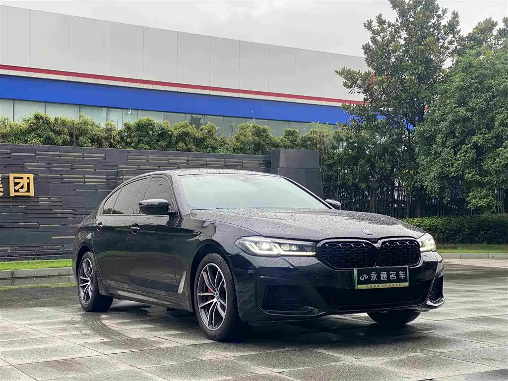 BMW 5 Series New Energy 2022