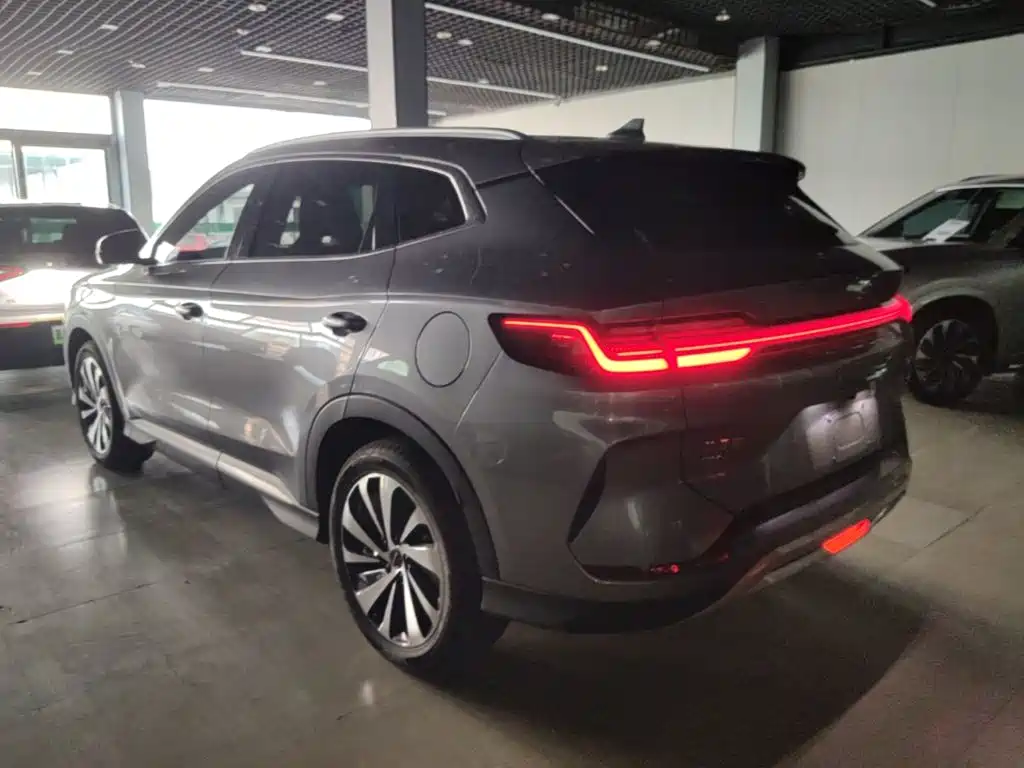 BYD PLUS New Energy 2024 — фото 5