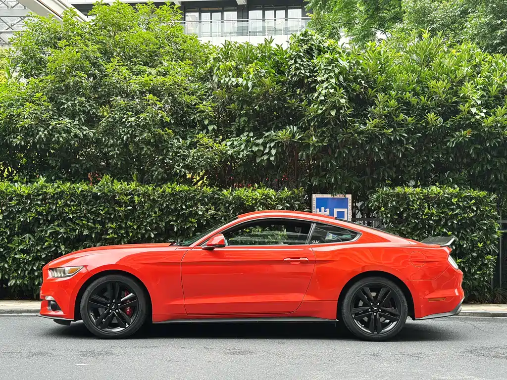 Ford Mustang 2015 — фото 6