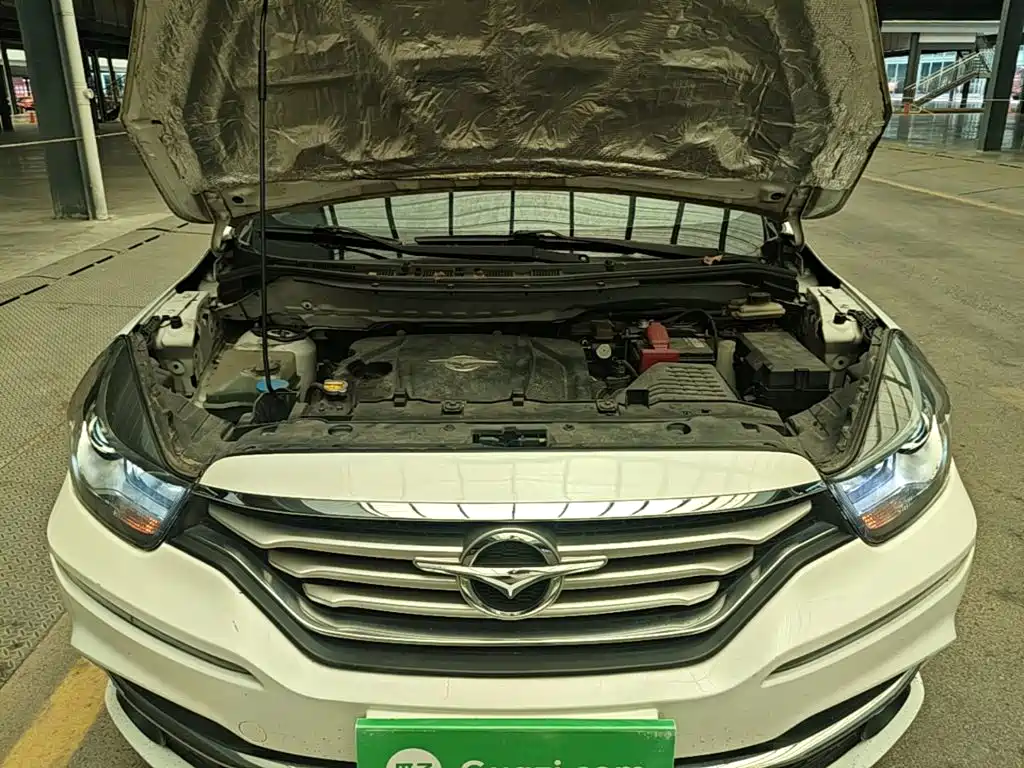 Haima Familia F7 2018 — фото 20