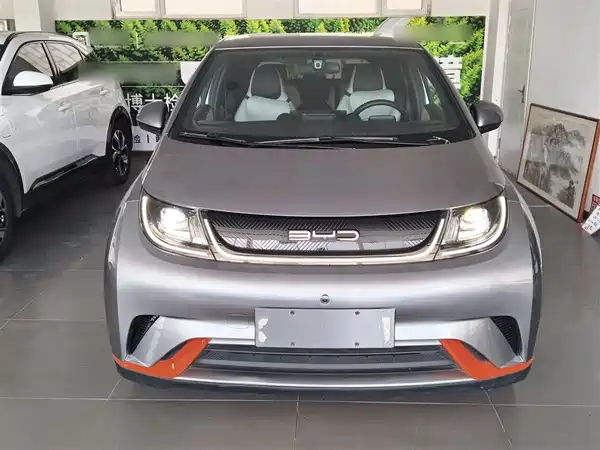 BYD Dolphin 2021