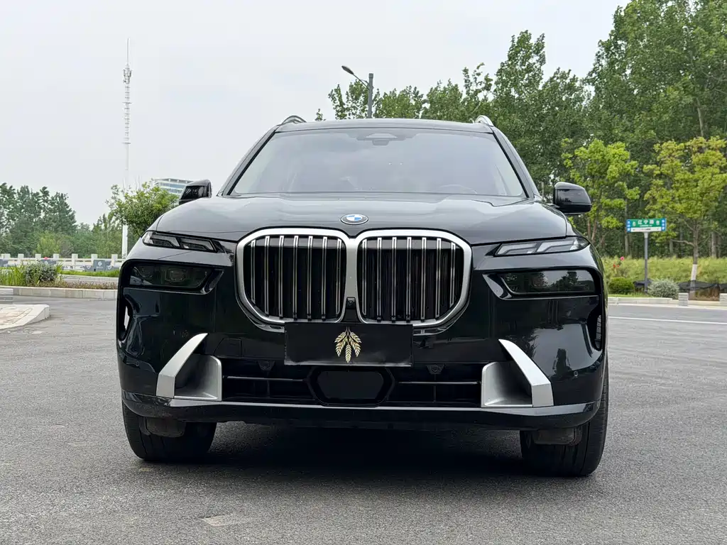 BMW X7 2023 — фото 2