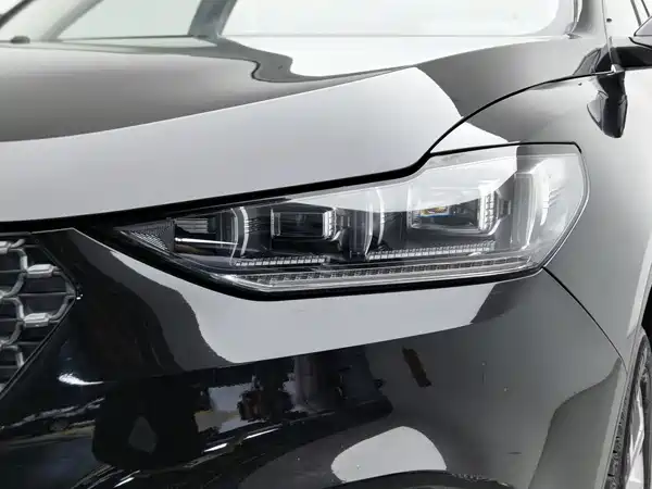 Wey VV6 2020