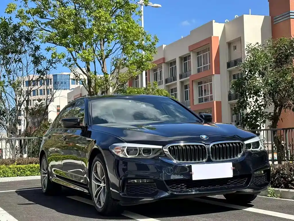 BMW 5 Series 2019