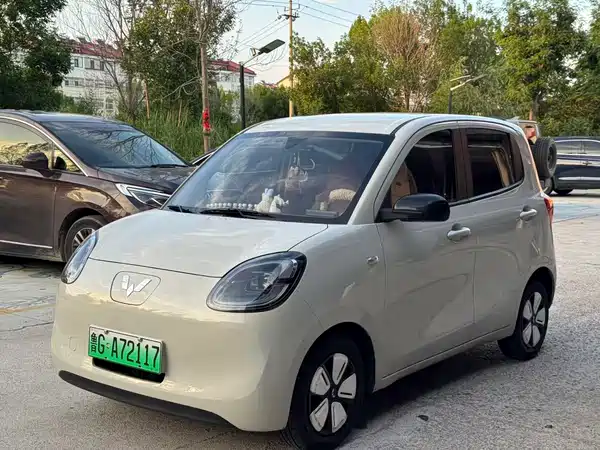 Wuling Hongguang MINIEV 2025
