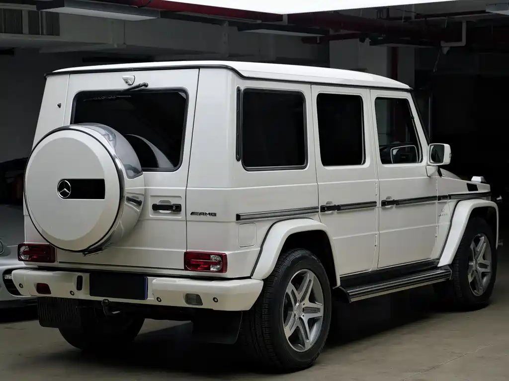 Mercedes-Benz G-Class AMG 2010 — фото 9