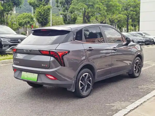 Neta V 2022