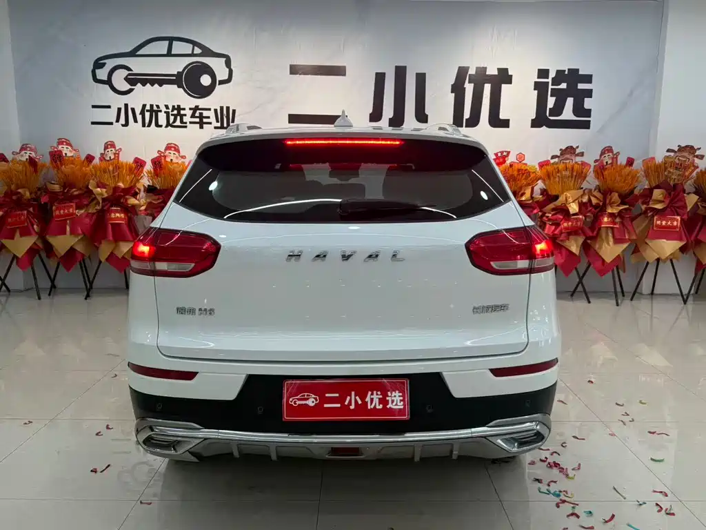 Haval H6 2021 — фото 13