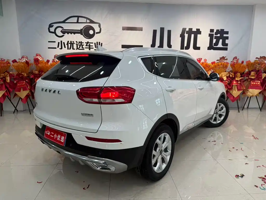 Haval H6 2021 — фото 12