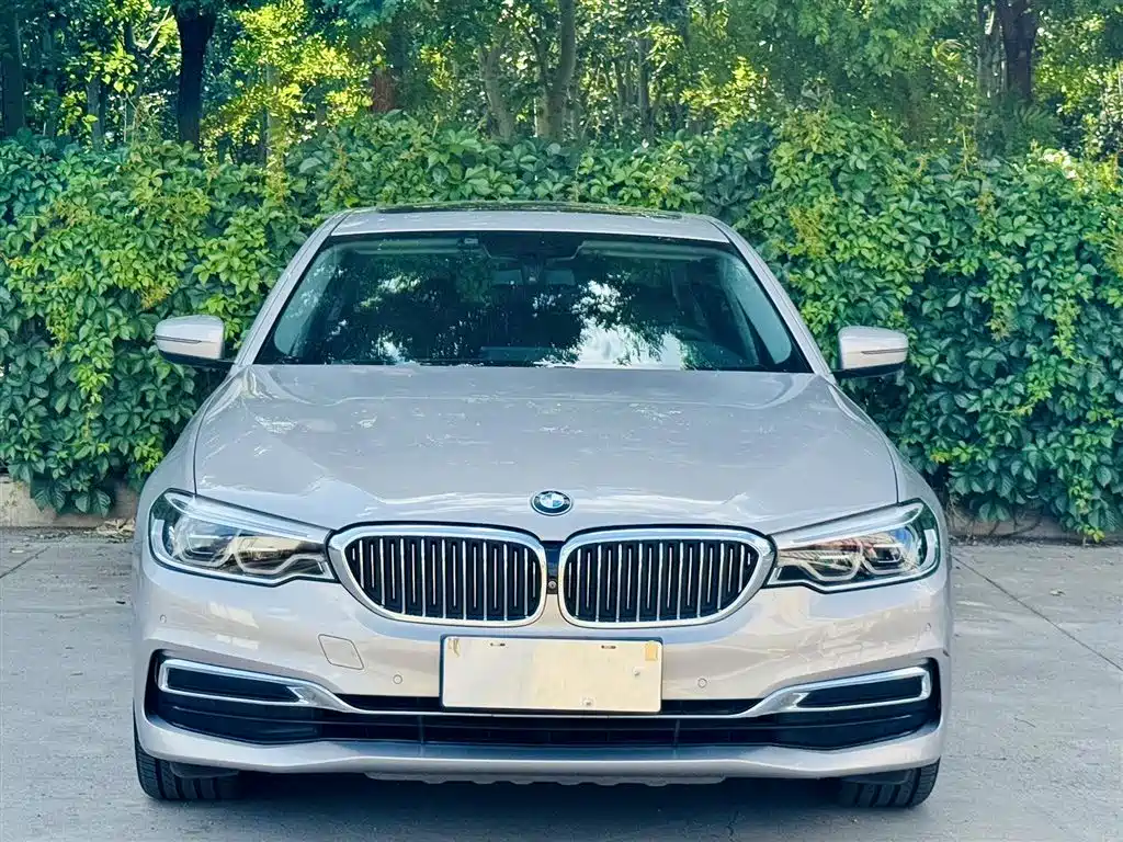 BMW 5 Series 2019