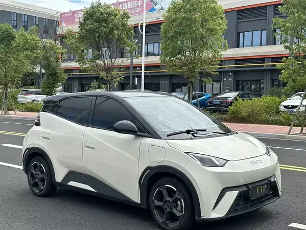 BYD Seagull 2024