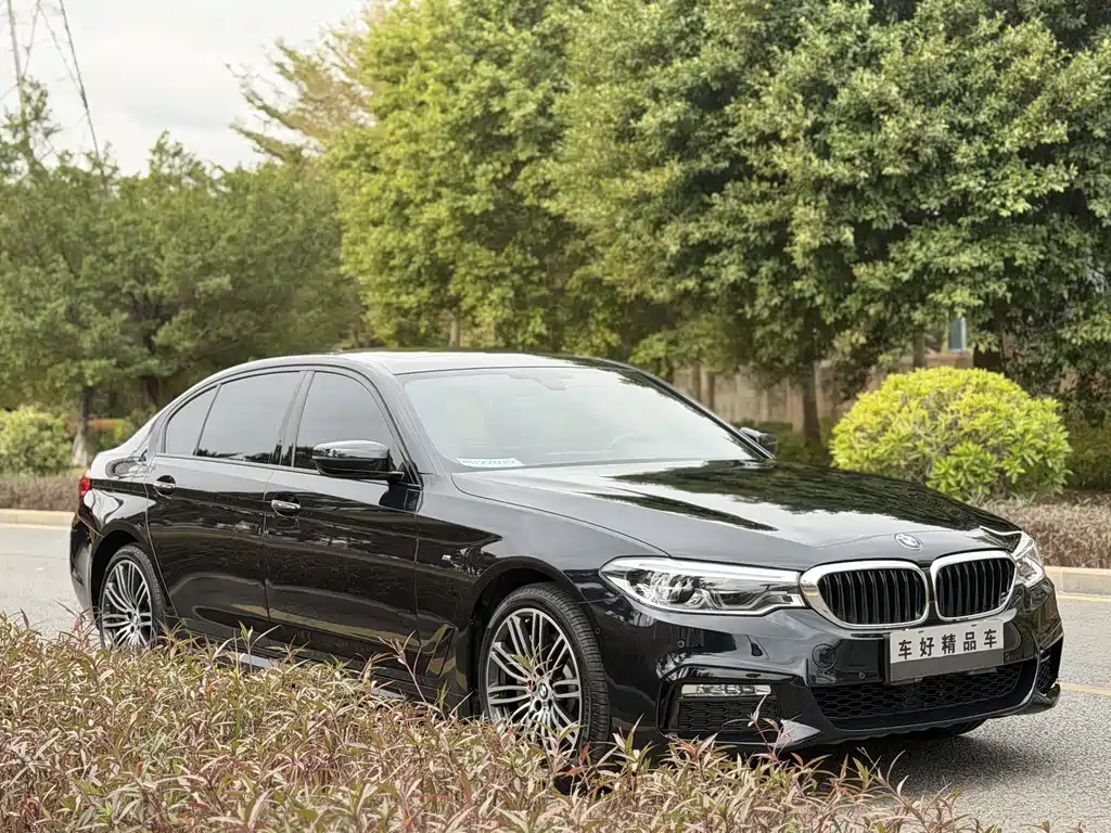 BMW 5 Series 2018 — фото 2