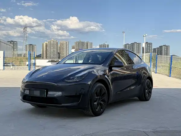 Tesla Model Y 2024
