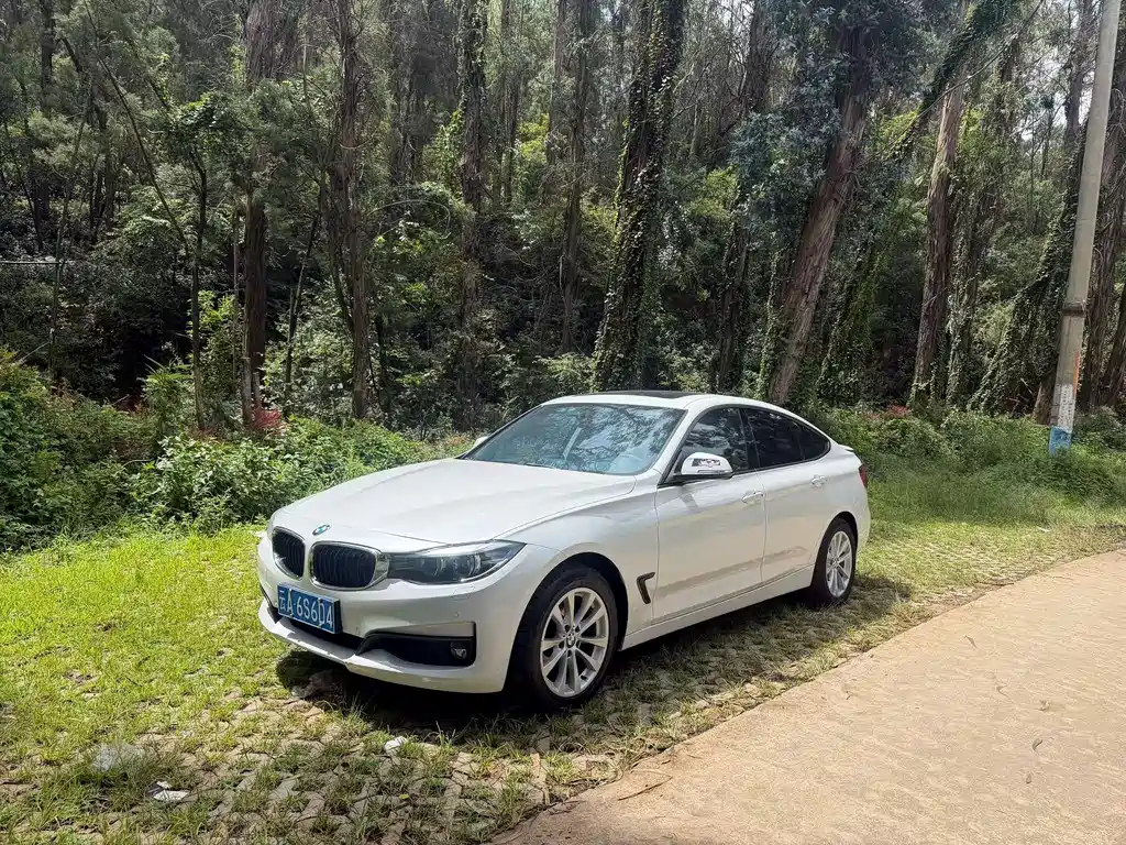 BMW 3 Series GT 2017 — фото 1