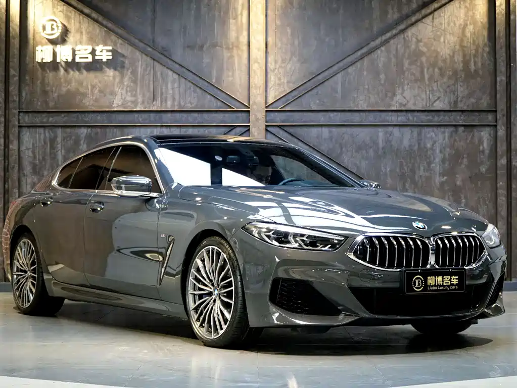 BMW 8 Series 2022 — фото 17