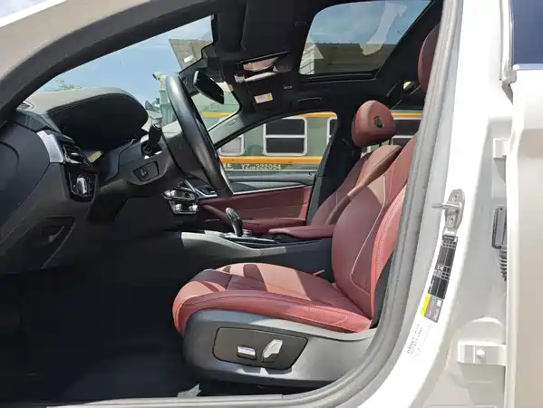 BMW 5 Series New Energy 2021