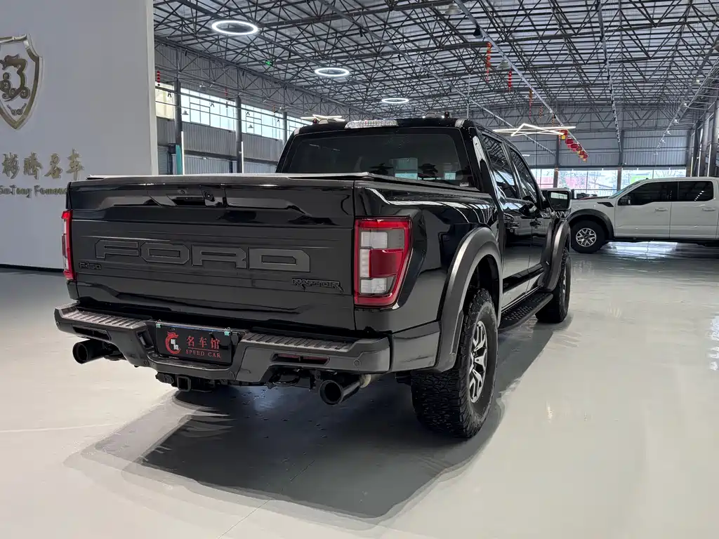 Ford F-150 Raptor 2024 — фото 6
