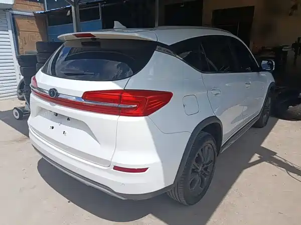 BYD Song New Energy 2019