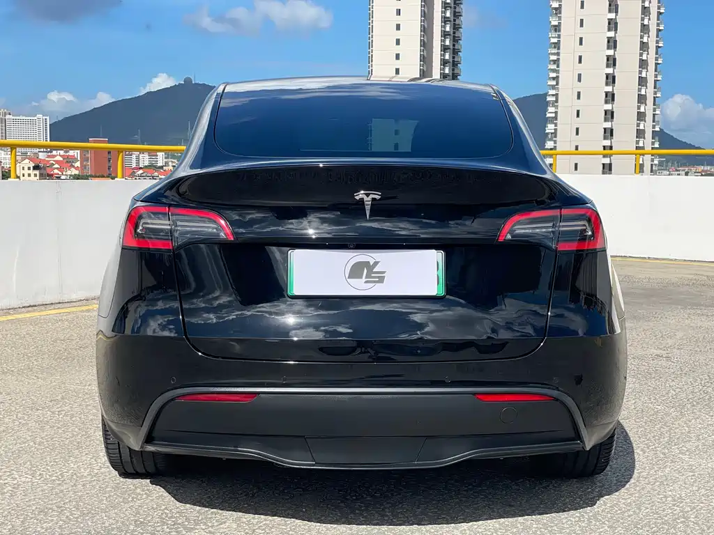 Tesla Model Y 2021 — фото 6