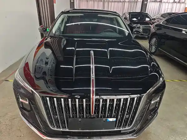 Hongqi H5 2025