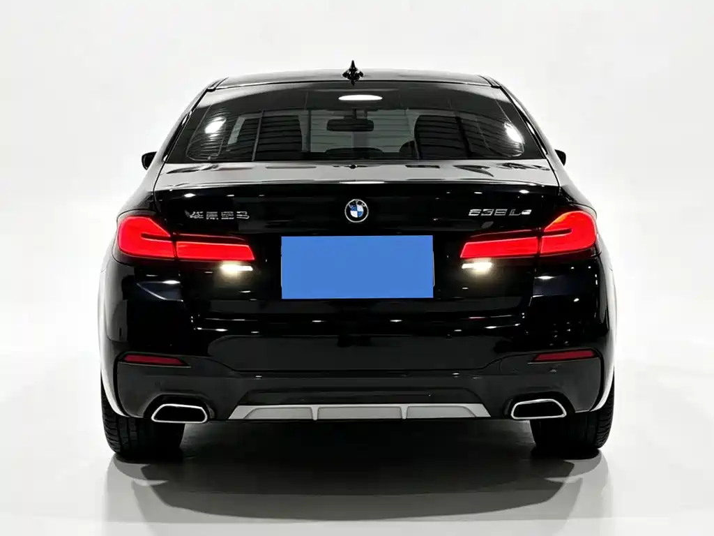 BMW 5 Series New Energy 2021