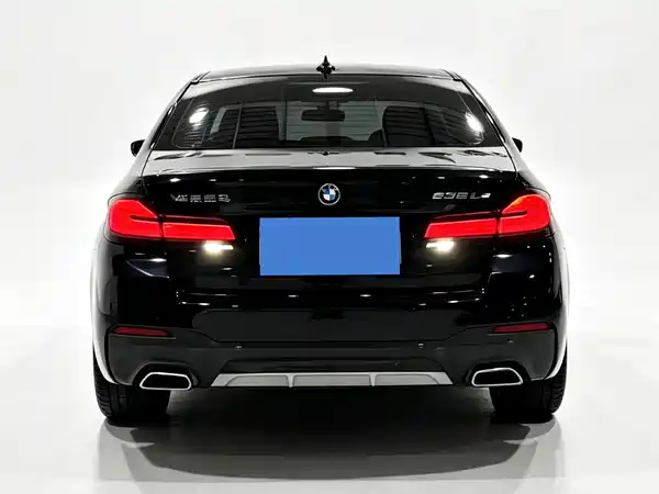 BMW 5 Series New Energy 2021