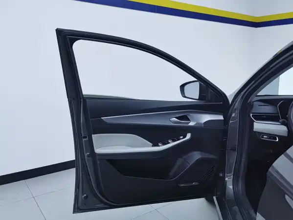Geely Binrui 2024