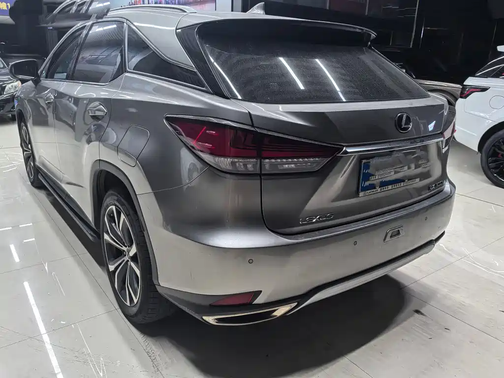 Lexus RX 2023 — фото 11