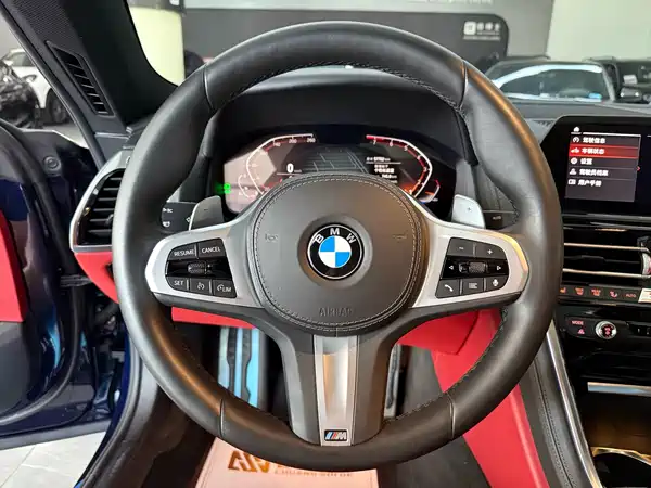 BMW 8 Series 2020