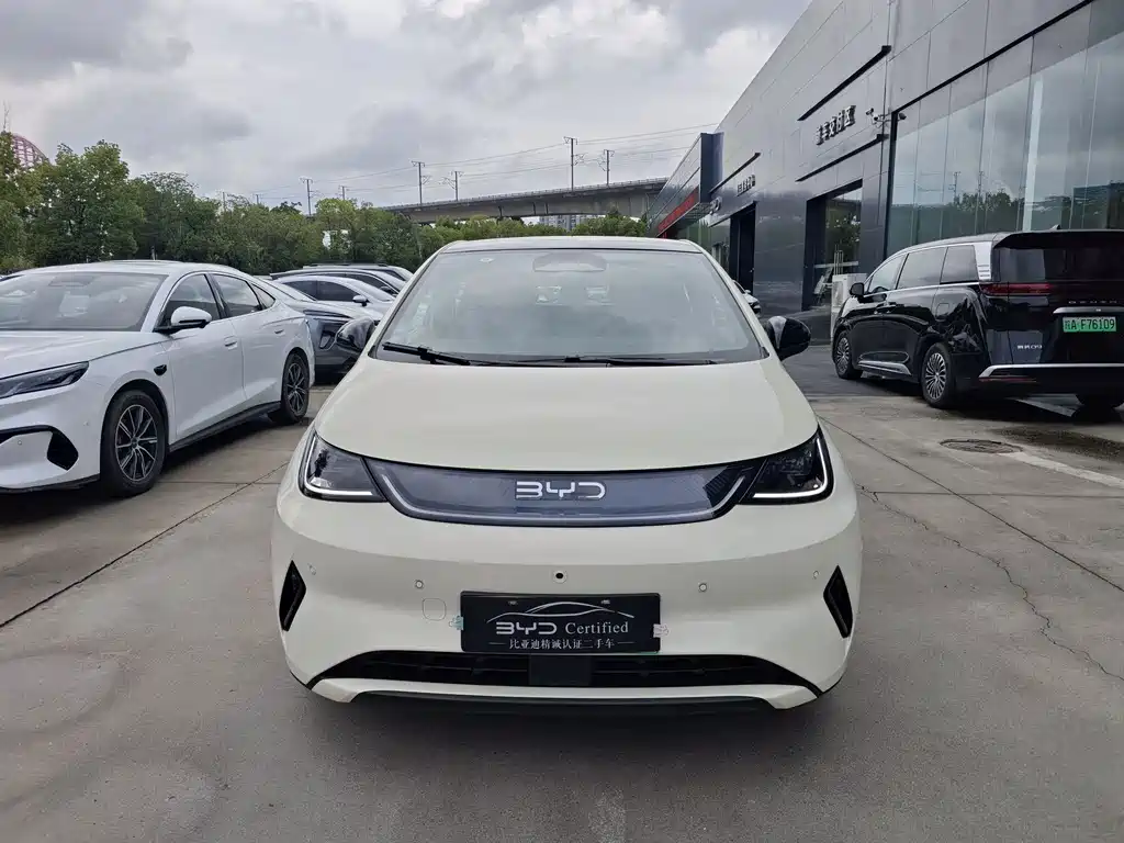 BYD Dolphin 2025