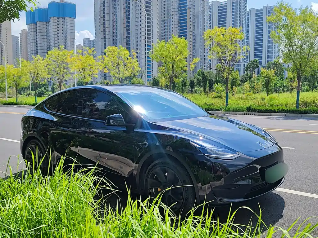 Tesla Model Y 2023 — фото 19