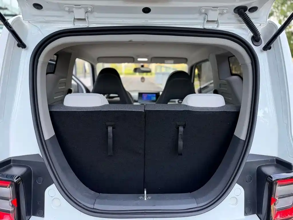 Geely Galaxy Panda 2025 — фото 11